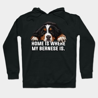 Bernese mountain dog Hoodie